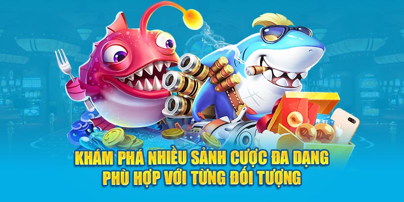 Khám phá nhiều sảnh cược đa dạng phù hợp với từng đối tượng