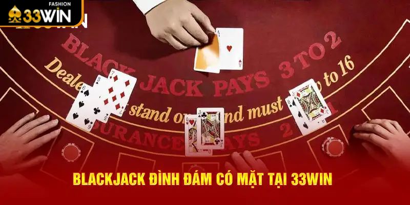 Cách chơi Blackjack - Đặt cược để bắt đầu ván bài mới 